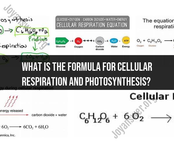 Formula Unveiled: Demystifying Cellular Respiration and Photosynthesis