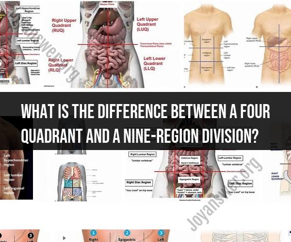 Four Quadrant vs. Nine-Region Division: Understanding the Difference