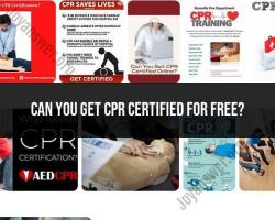 Free CPR Certification: Exploring Certification Options
