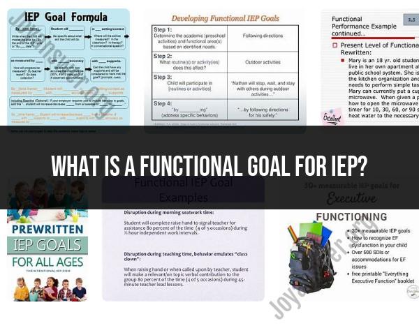 Functional Goals in an IEP: Understanding Individualized Education Plans