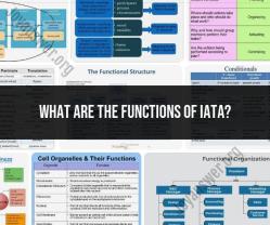 Functions of IATA: Understanding the Role of the Association