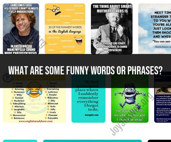 Funny Words and Phrases: A Collection of Humorous Language