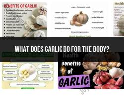 Garlic's Body Boost: Understanding the Health Benefits