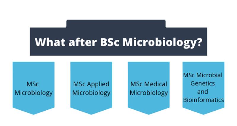 General Microbiology Course: Overview and Scope