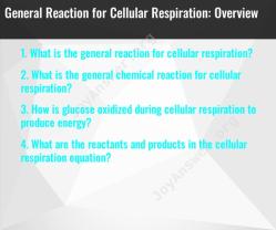 General Reaction for Cellular Respiration: Overview