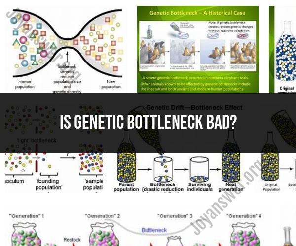 Genetic Bottleneck: Causes and Consequences