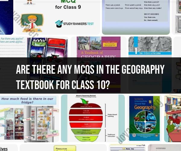 Geography Textbook for Class 10: Exploring Content