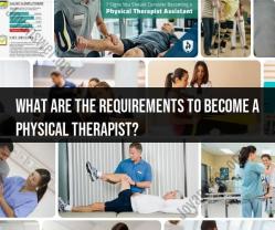 Getting Your Physical Therapy License: Step-by-Step