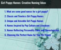 Girl Puppy Names: Creative Naming Ideas