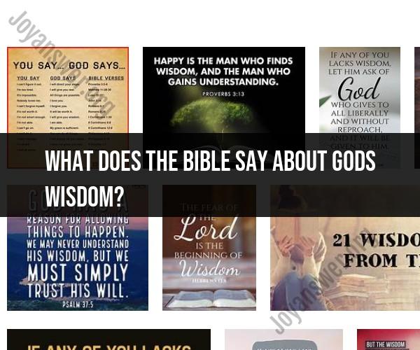 God's Wisdom in the Bible: Divine Insights