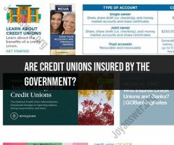 Government Insurance for Credit Unions: An Overview