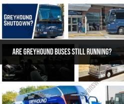 Greyhound Buses: Current Status and Availability