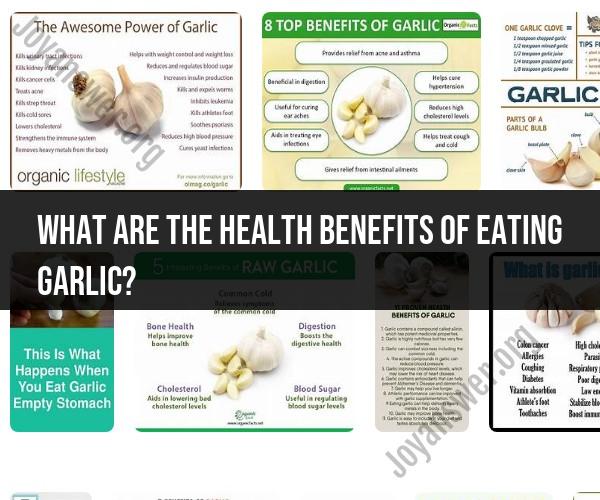 Health Benefits of Garlic: A Nutritional Powerhouse