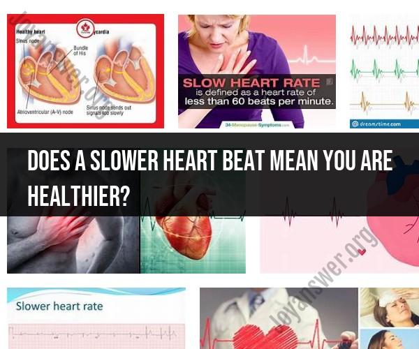 Heart Rate and Health: Debunking the Myth of a Slower Heartbeat