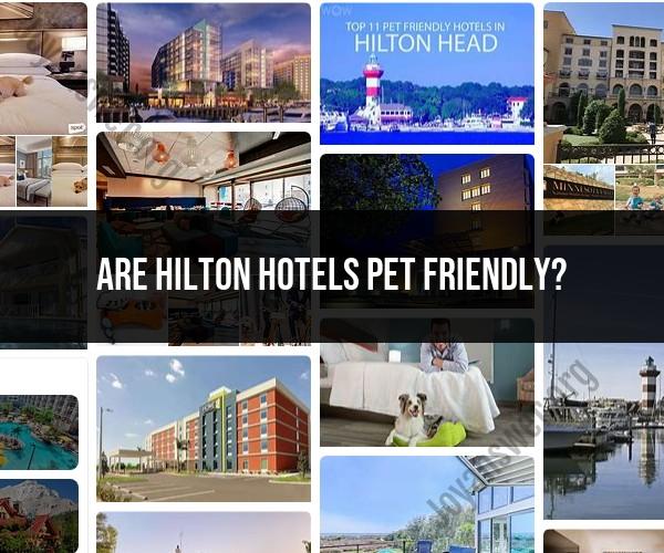 Hilton Hotels and Pet-Friendly Accommodations