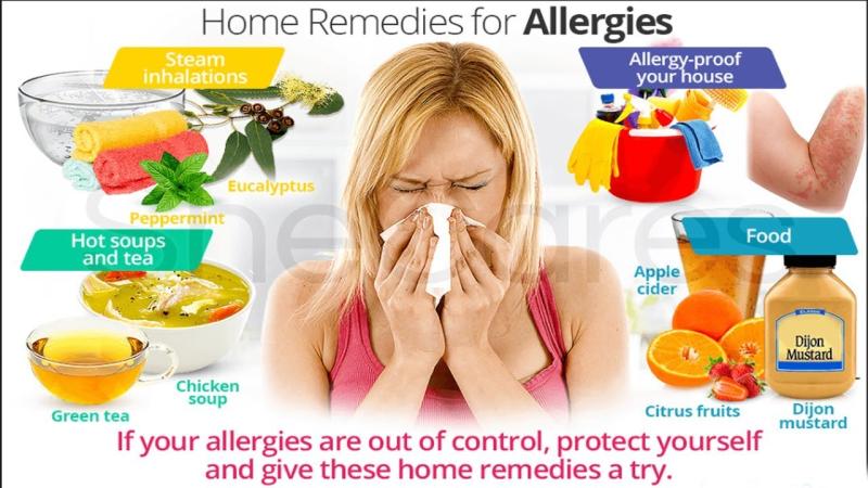 Home Remedies for Pollen Allergies: Natural Solutions