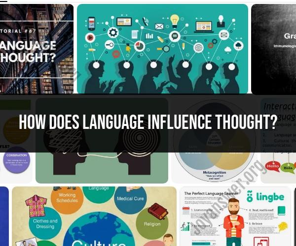 How Language Influences Thought: Insights into Cognitive Processes