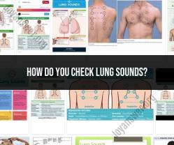 How to Check Lung Sounds: A Guide for Healthcare Providers