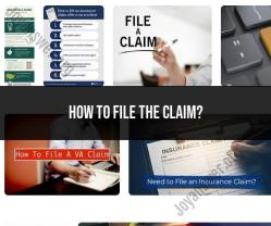 How to File an Insurance Claim: Step-by-Step Guidance