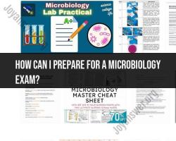 How to Prepare for a Microbiology Exam