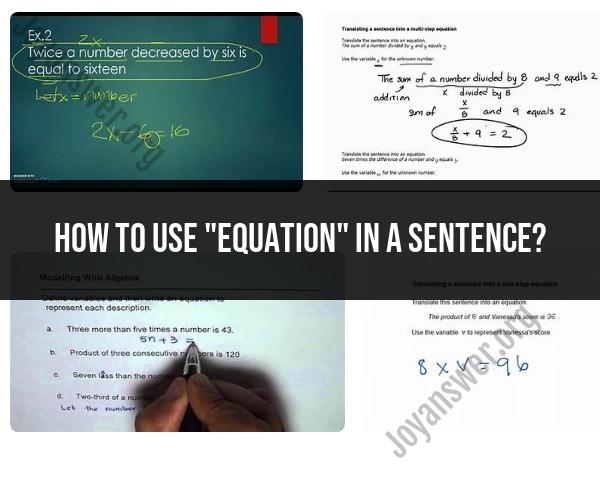 How to Use "Equation" in a Sentence: Language Example