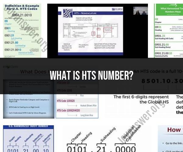 HTS Number Explained Understanding Harmonized Tariff Schedule Codes