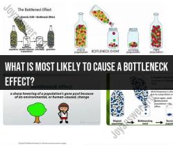 Identifying Factors Most Likely to Induce a Bottleneck Effect