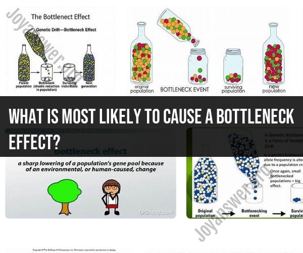 Identifying Factors Most Likely to Induce a Bottleneck Effect