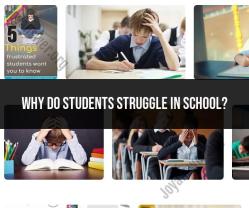 Identifying Reasons Why Students May Struggle in School