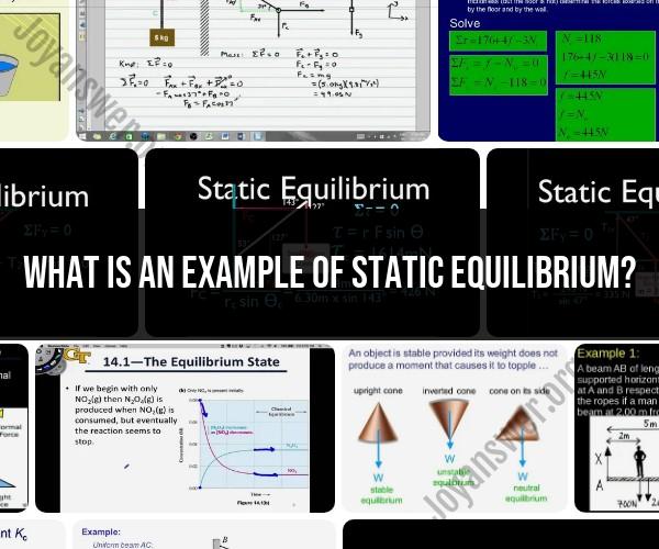 Illustrating Static Equilibrium: A Simple Example