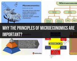 Importance of Principles of Microeconomics: Significance in Economics Study
