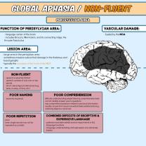 Improving Expressive Aphasia: Enhancement Strategies