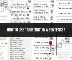 Incorporating "Sighting" in Sentences: Usage Examples