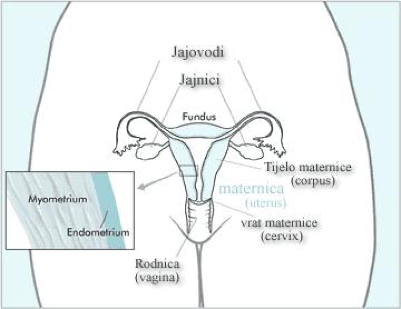 Indications for Hysterectomy: Understanding When It's Considered