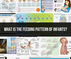 Infant Feeding Patterns: Development and Practices