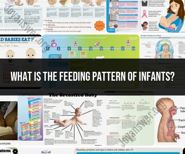Infant Feeding Patterns: Development and Practices