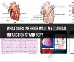 Inferior Wall Myocardial Infarction: Medical Terminology