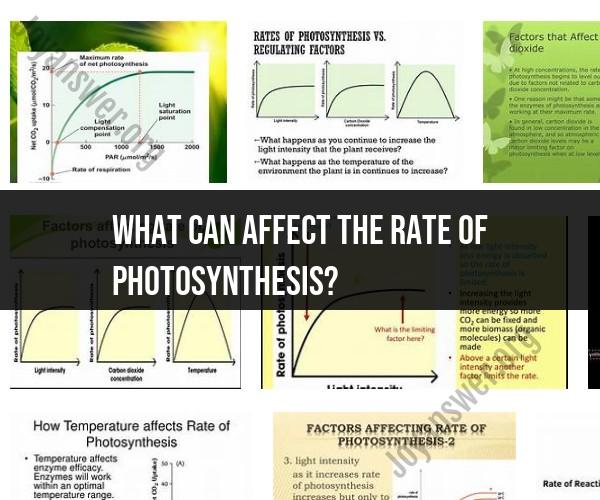 Influences on Photosynthesis Rate: Environmental and Biological Factors