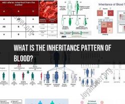 Inheritance Pattern of Blood Types: ABO Blood Group System