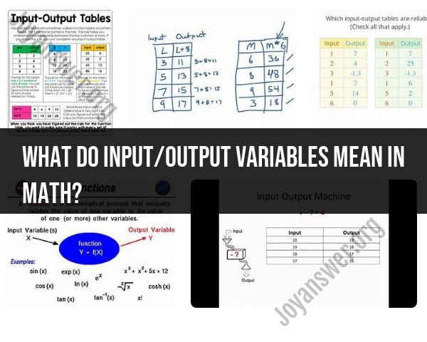 Input/Output Variables in Mathematics: What They Signify