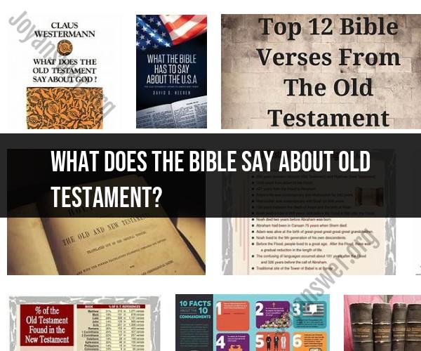 Insights from the Bible: What Does it Say About the Old Testament?