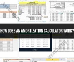 Insights into Amortization Calculators: Financial Tools Explained