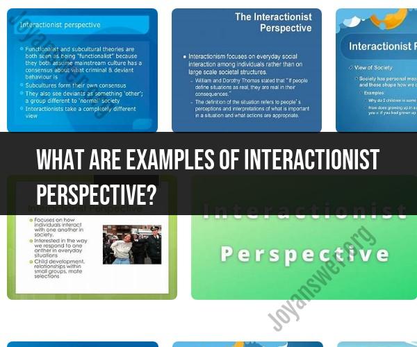 Interactionist Perspective Examples: Understanding Social Interaction