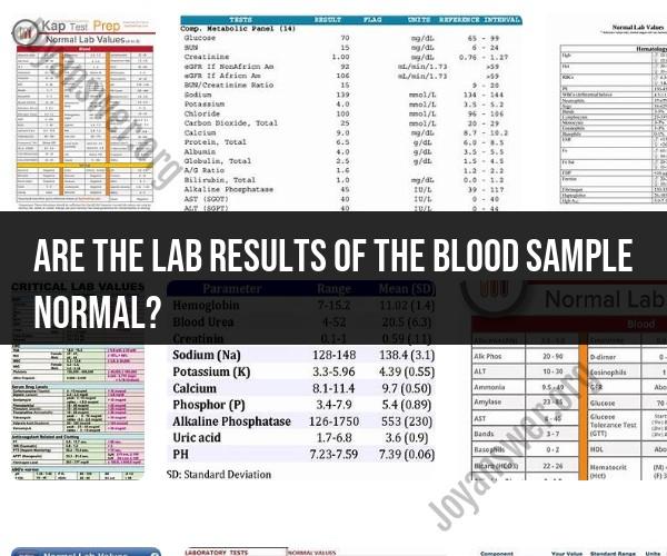 Interpreting Lab Results of a Blood Sample: Normal vs. Abnormal