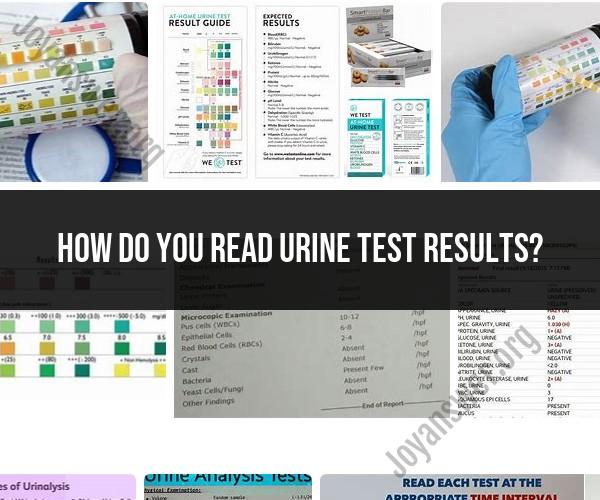 Interpreting Urine Test Results: Understanding the Report