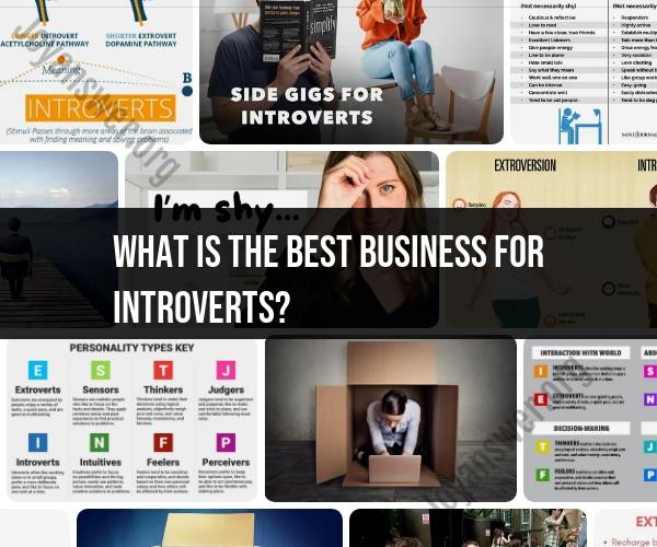Introvert-Friendly Business Ideas: A Guide