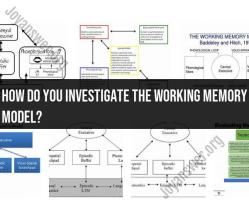 Investigating the Working Memory Model: Cognitive Psychology Insights