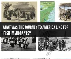 Journey to America for Irish Immigrants: Historical Insights