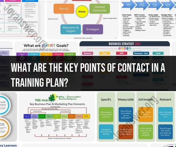 Key Points of Contact in a Training Plan: Roles and Coordination