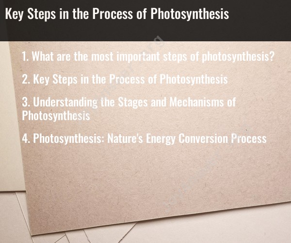 Key Steps in the Process of Photosynthesis